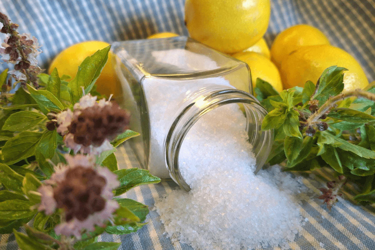 Zitronens&auml;ure Pferd